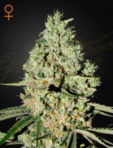 super_critical